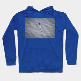 Roseate Skimmer Over Water Hoodie